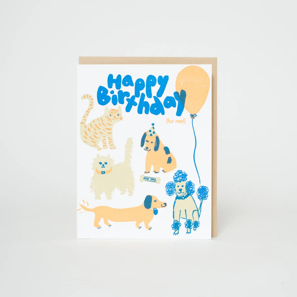 Birthday Dog & Cat Party