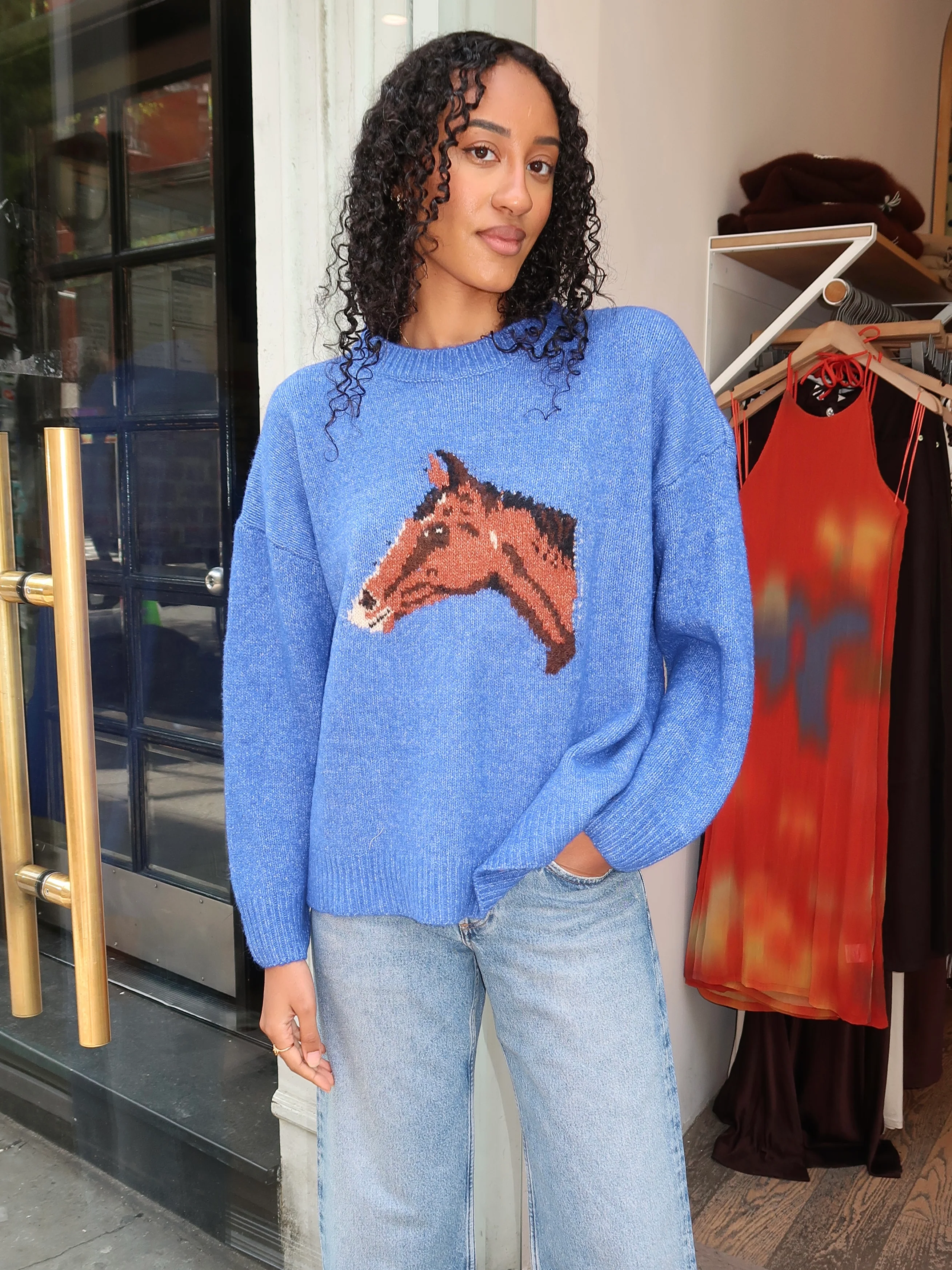 Wynie Horse Sweater in Blue - Image 2